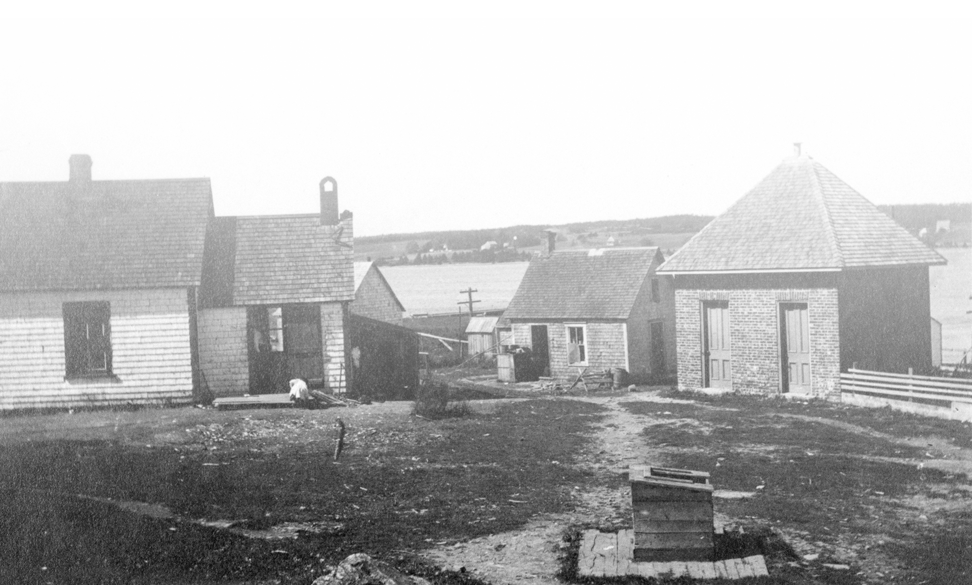 History of the King’s Road Reserve History of the King’s Road Reserve